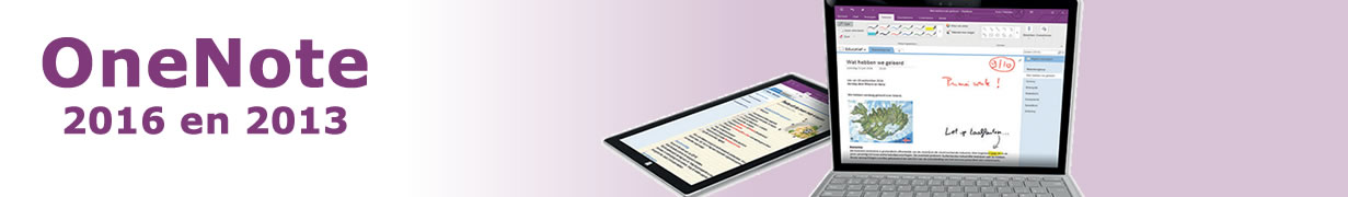 OneNote 2016 en 2013